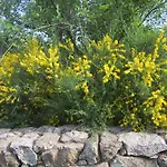 La Asomailla Летний дом Ойос-дель-Эспино