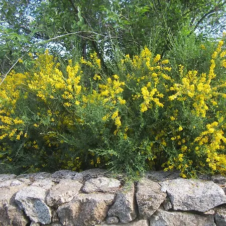 La Asomailla Landhaus Hoyos del Espino