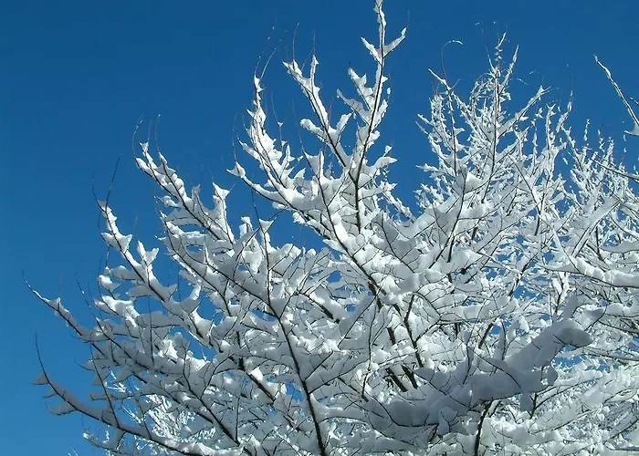 La Asomailla 컨트리하우스 *