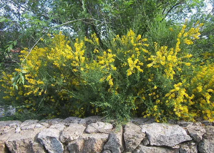 La Asomailla 컨트리하우스 요요스델에스피뇨